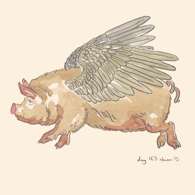 365- day 163- flying pig